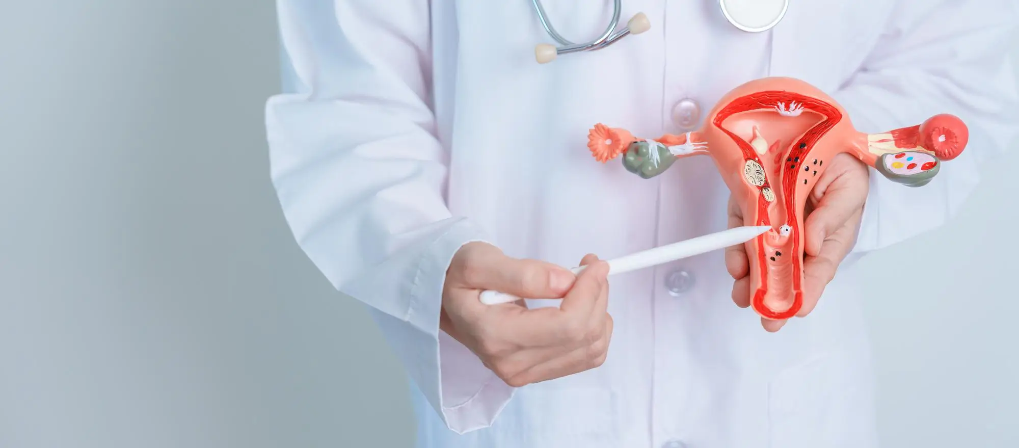 Bikini Tightening - Belladona