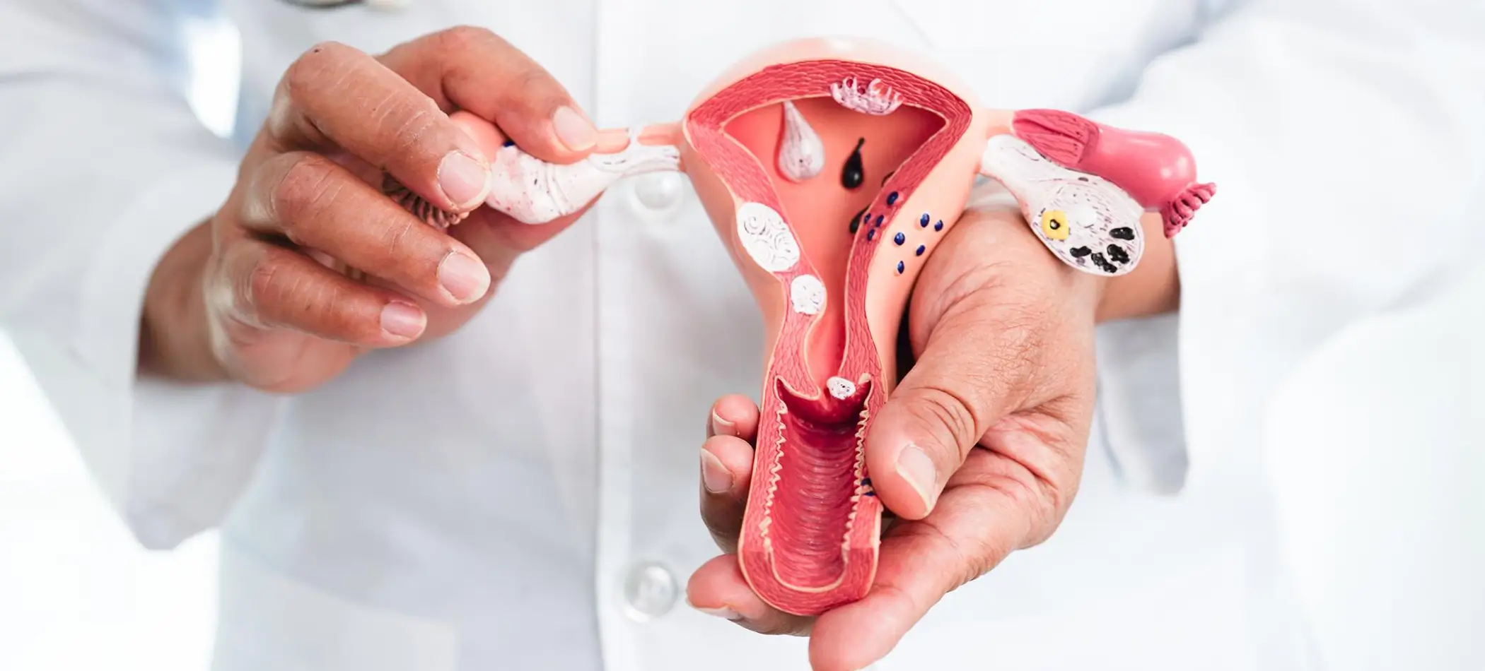 Gynecology Aesthetic